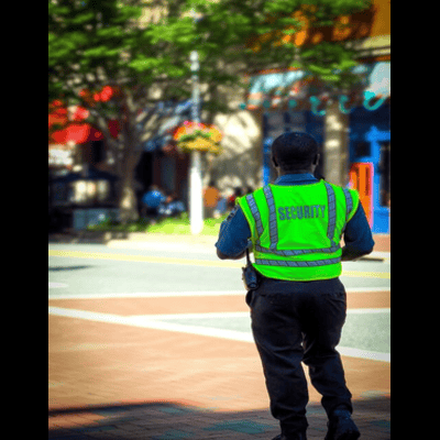 Professional event security services